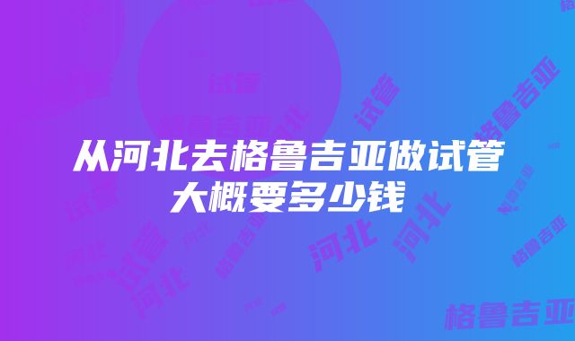 从河北去格鲁吉亚做试管大概要多少钱