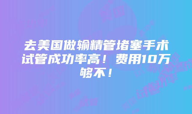 去美国做输精管堵塞手术试管成功率高！费用10万够不！