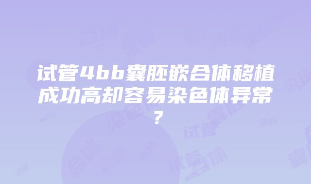 试管4bb囊胚嵌合体移植成功高却容易染色体异常？