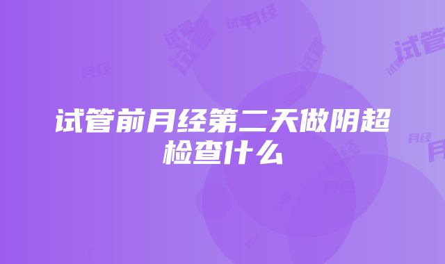 试管前月经第二天做阴超检查什么