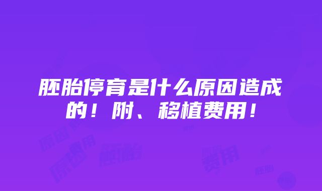 胚胎停育是什么原因造成的！附、移植费用！