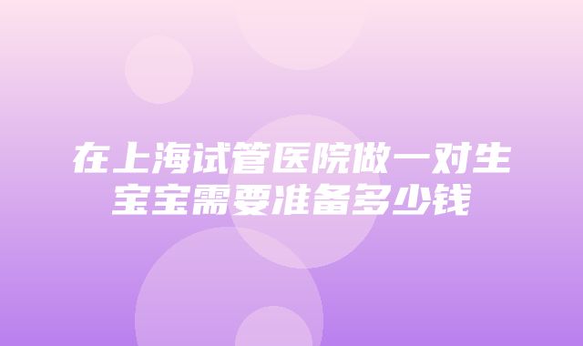 在上海试管医院做一对生宝宝需要准备多少钱