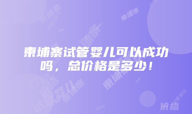 柬埔寨试管婴儿可以成功吗，总价格是多少！