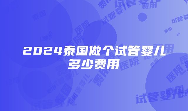 2024泰国做个试管婴儿多少费用