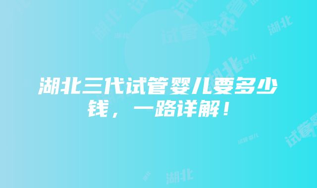 湖北三代试管婴儿要多少钱，一路详解！