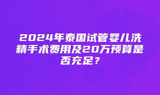 2024年泰国试管婴儿洗精手术费用及20万预算是否充足？