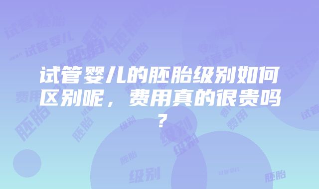 试管婴儿的胚胎级别如何区别呢，费用真的很贵吗？