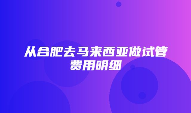 从合肥去马来西亚做试管费用明细