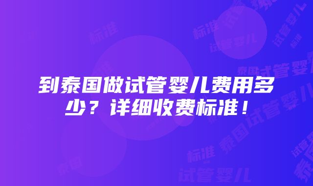 到泰国做试管婴儿费用多少？详细收费标准！