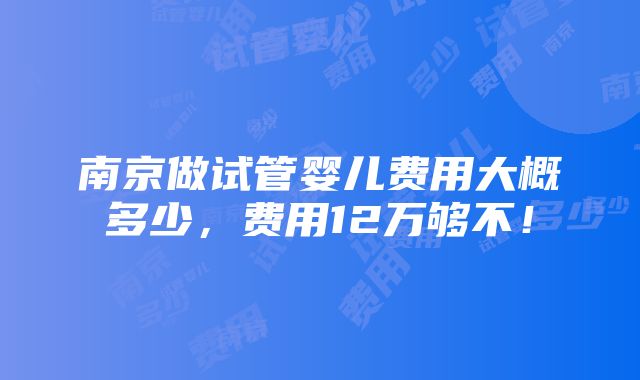 南京做试管婴儿费用大概多少，费用12万够不！