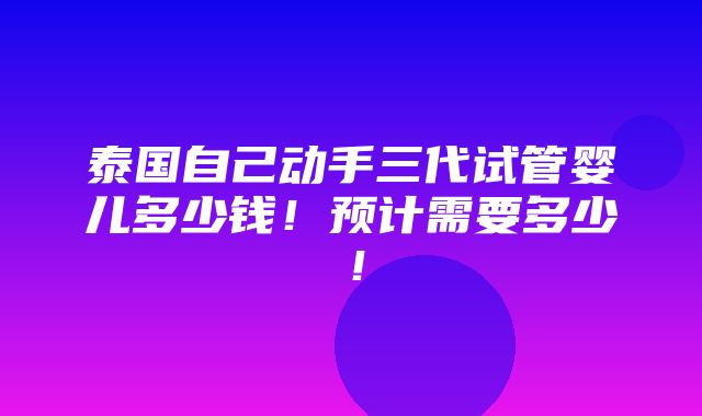 泰国自己动手三代试管婴儿多少钱！预计需要多少！