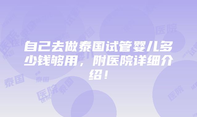 自己去做泰国试管婴儿多少钱够用，附医院详细介绍！