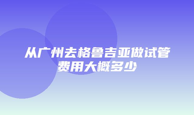 从广州去格鲁吉亚做试管费用大概多少