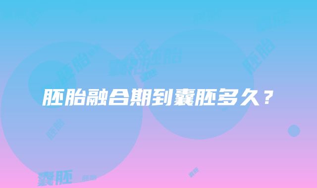 胚胎融合期到囊胚多久？