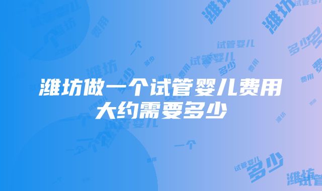 潍坊做一个试管婴儿费用大约需要多少