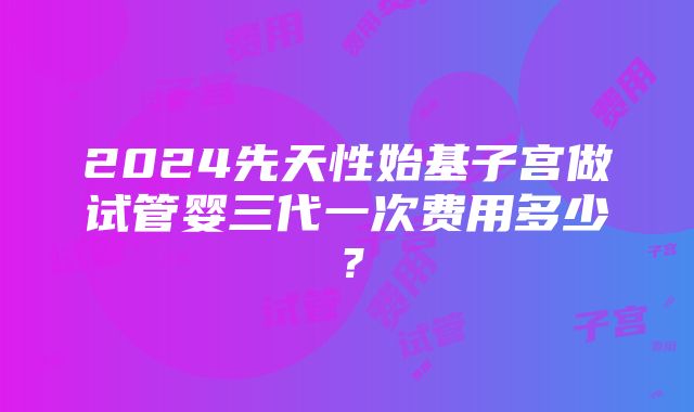 2024先天性始基子宫做试管婴三代一次费用多少？