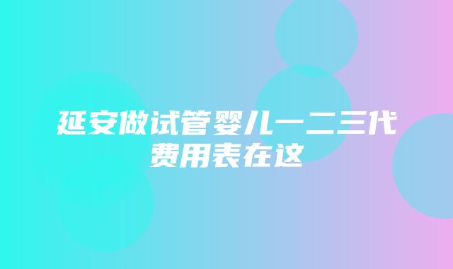 延安做试管婴儿一二三代费用表在这