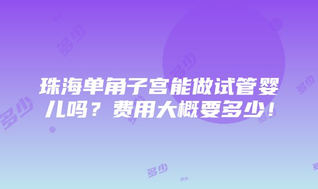 珠海单角子宫能做试管婴儿吗？费用大概要多少！