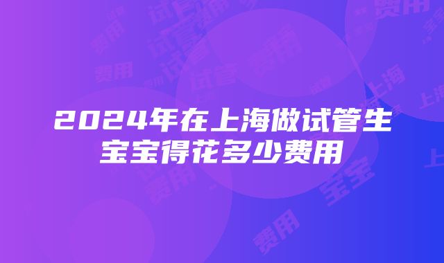 2024年在上海做试管生宝宝得花多少费用