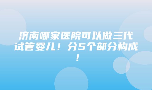 济南哪家医院可以做三代试管婴儿！分5个部分构成！