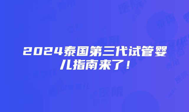 2024泰国第三代试管婴儿指南来了！