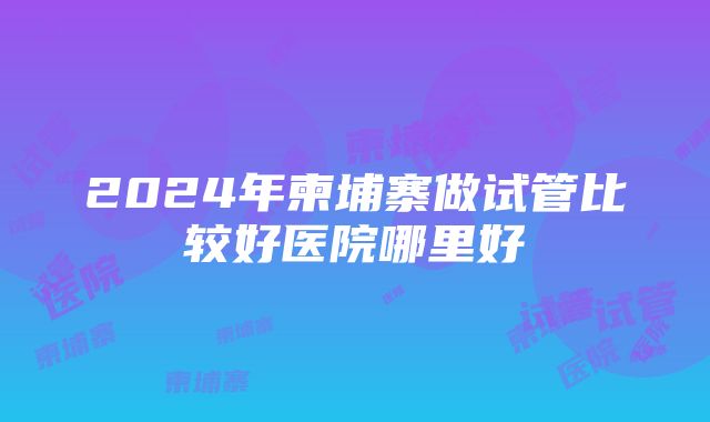 2024年柬埔寨做试管比较好医院哪里好