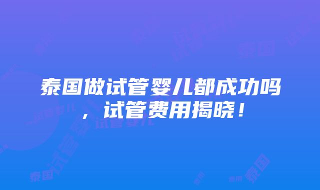 泰国做试管婴儿都成功吗，试管费用揭晓！