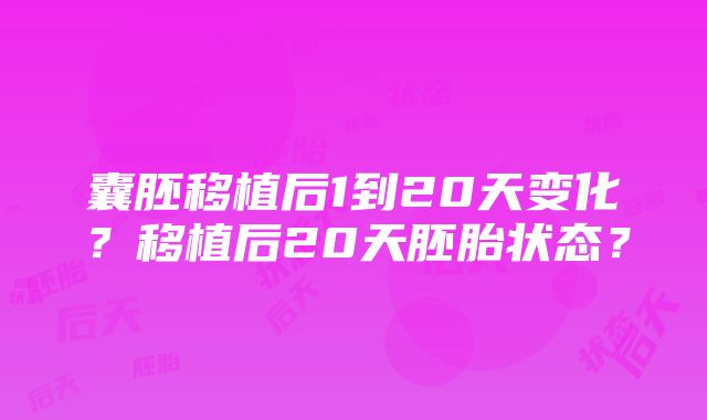 囊胚移植后1到20天变化？移植后20天胚胎状态？