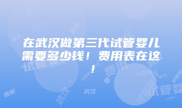 在武汉做第三代试管婴儿需要多少钱！费用表在这！