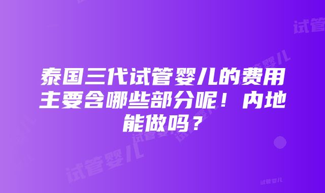 泰国三代试管婴儿的费用主要含哪些部分呢！内地能做吗？