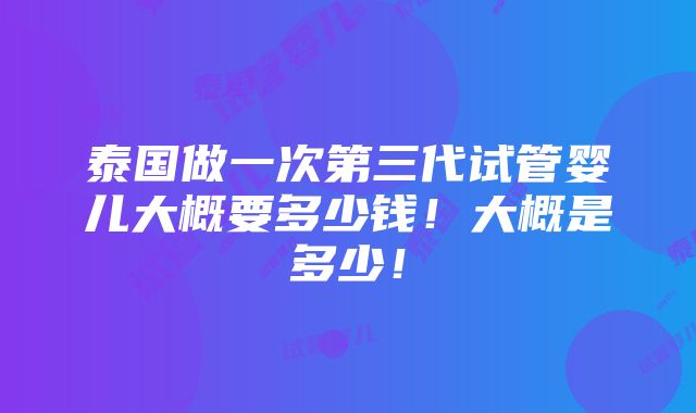 泰国做一次第三代试管婴儿大概要多少钱！大概是多少！