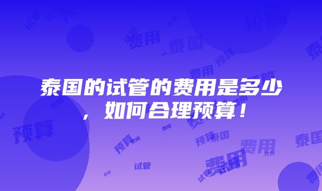 泰国的试管的费用是多少，如何合理预算！