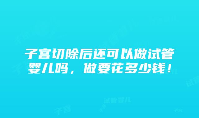 子宫切除后还可以做试管婴儿吗，做要花多少钱！