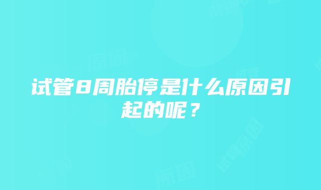 试管8周胎停是什么原因引起的呢？