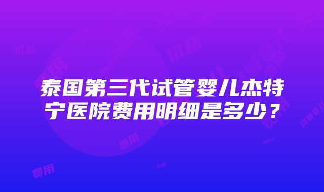 泰国第三代试管婴儿杰特宁医院费用明细是多少？