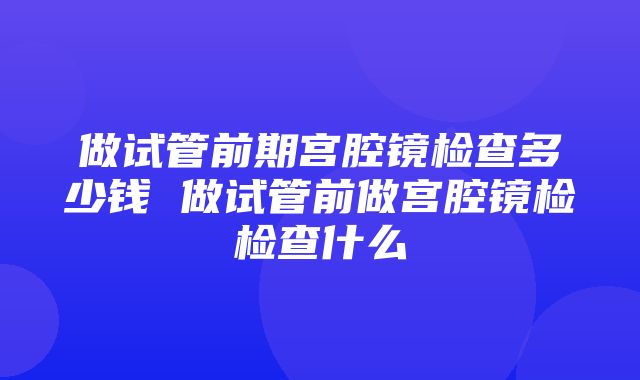 做试管前期宫腔镜检查多少钱 做试管前做宫腔镜检检查什么