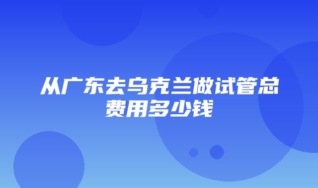 从广东去乌克兰做试管总费用多少钱