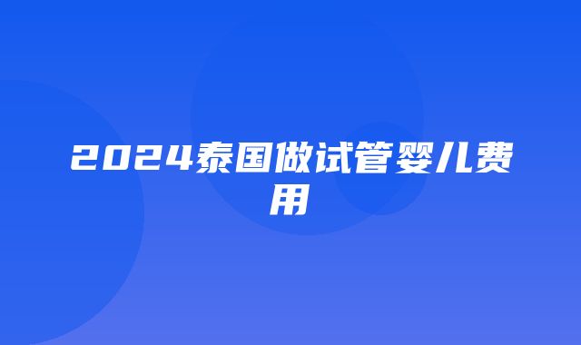 2024泰国做试管婴儿费用