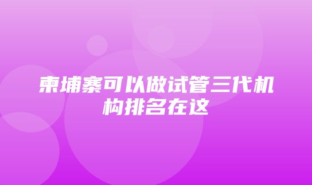 柬埔寨可以做试管三代机构排名在这