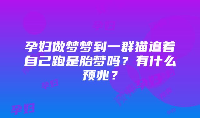 孕妇做梦梦到一群猫追着自己跑是胎梦吗？有什么预兆？