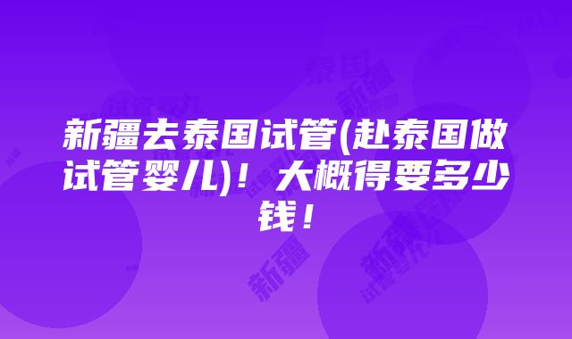 新疆去泰国试管(赴泰国做试管婴儿)！大概得要多少钱！