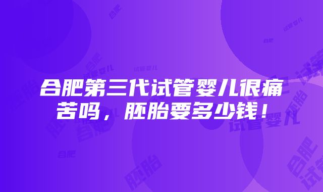 合肥第三代试管婴儿很痛苦吗，胚胎要多少钱！