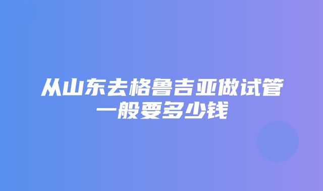 从山东去格鲁吉亚做试管一般要多少钱