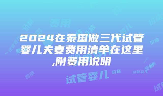 2024在泰国做三代试管婴儿夫妻费用清单在这里,附费用说明