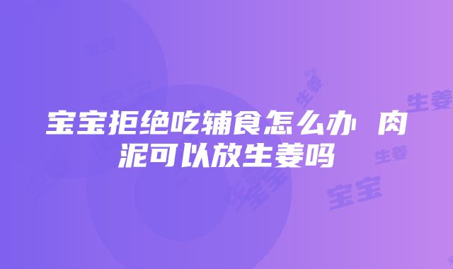 宝宝拒绝吃辅食怎么办 肉泥可以放生姜吗