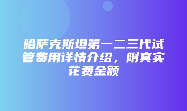 哈萨克斯坦第一二三代试管费用详情介绍，附真实花费金额