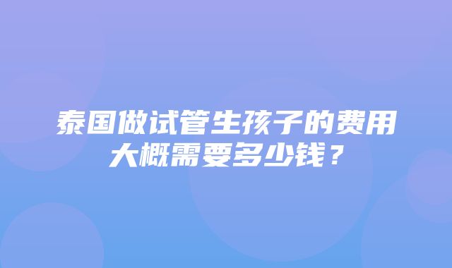 泰国做试管生孩子的费用大概需要多少钱？