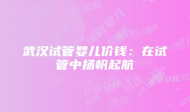 武汉试管婴儿价钱：在试管中扬帆起航