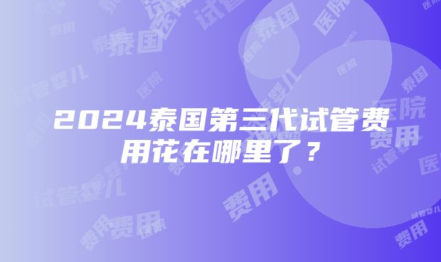 2024泰国第三代试管费用花在哪里了？