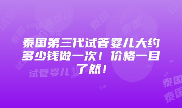 泰国第三代试管婴儿大约多少钱做一次！价格一目了然！